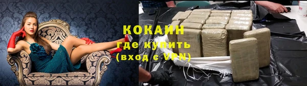 амф Богданович